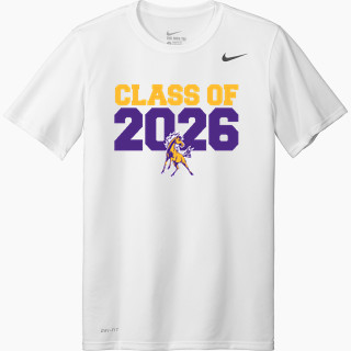 Nike Men's Team Legend Short Sleeve Tee