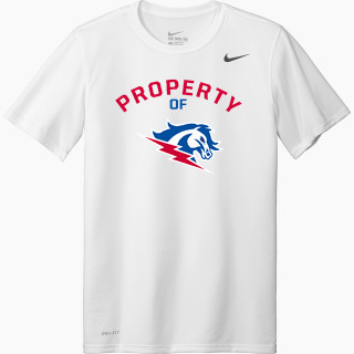 Nike Men's Team Legend Short Sleeve Tee