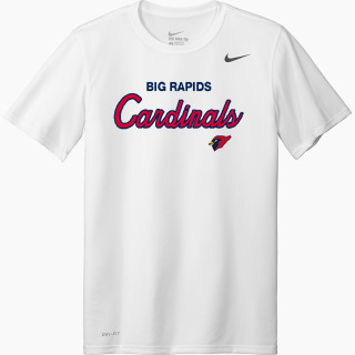 Nike Men's Team Legend Short Sleeve Tee