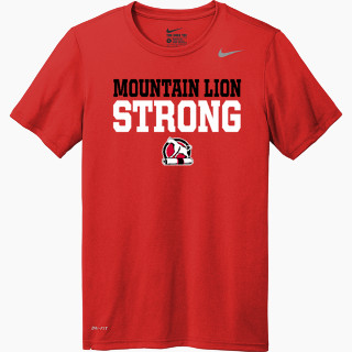 Nike Men's Team Legend Short Sleeve Tee