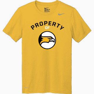 Nike Men's Team Legend Short Sleeve Tee