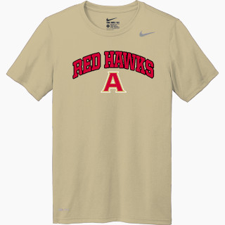 Nike Men's Team Legend Short Sleeve Tee