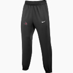 UW River Falls Falcons <span class="pdp-name-mascot">UW River Falls Falcons</span> Nike Men's Thermaflex Snap Pant Front Thumbnail
