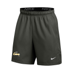 Coker Cobras <span class="pdp-name-mascot">Coker Cobras</span> Nike Men's Flex 7" Woven Short - No Pockets Front Thumbnail