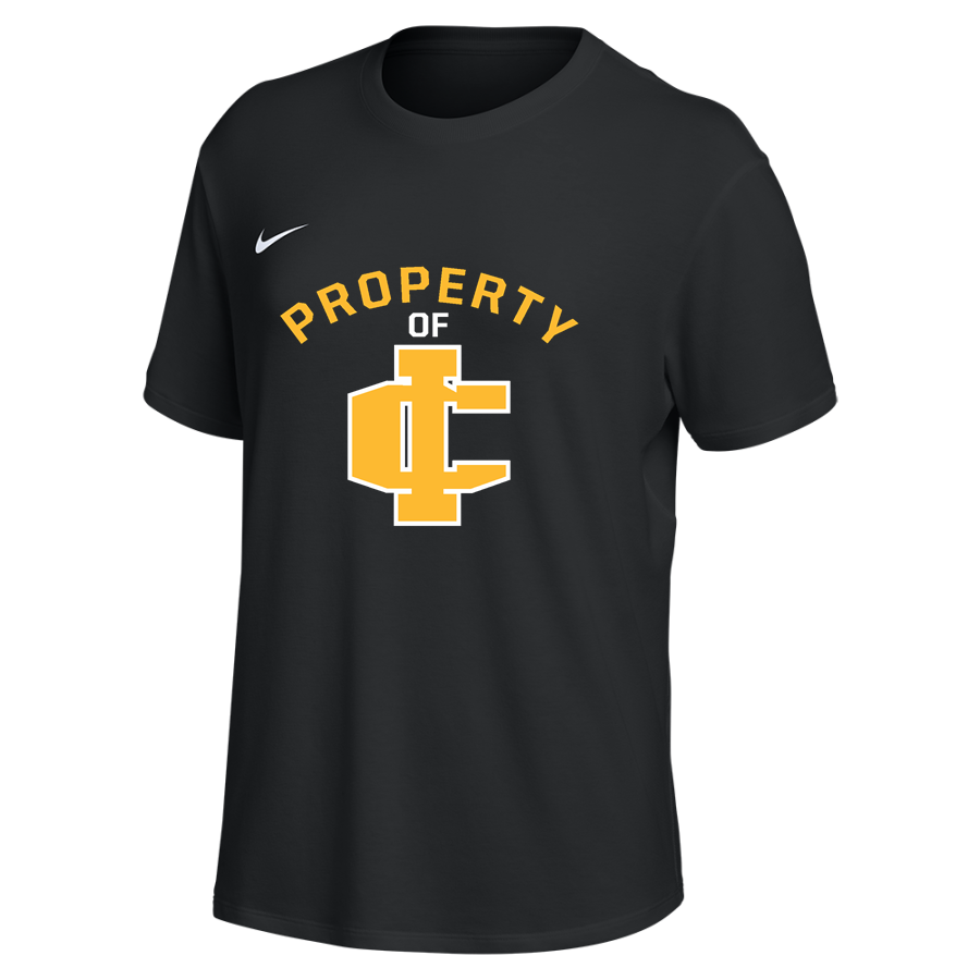 Imlay City Spartans <span class="pdp-name-mascot">Imlay City Spartans</span> Nike Women's One Relaxed Short Sleeve Top
