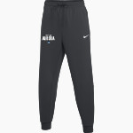 Aurora University Spartans Online Store <span class="pdp-name-mascot">Aurora Spartans</span> Nike Women's Primary Fleece Pant Front Thumbnail