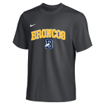 Steere Farm Broncos <span class="pdp-name-mascot">Steere Farm Elementary School Broncos</span> Nike Men's Team Primary Short Sleeve Tee Front Thumbnail
