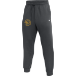 Central Christian Tigers <span class="pdp-name-mascot">Central Christian College Tigers</span> Nike Men's Primary Fleece Pant Front Thumbnail