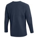 Roger Williams University Hawks <span class="pdp-name-mascot">RWU Hawks</span> Nike Men's Dri-FIT Lightweight Player Pullover Back Thumbnail