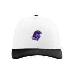 Trevecca University Trojans <span class="pdp-name-mascot">Trevecca University Trojans</span> Richardson Trucker Cap Front Thumbnail