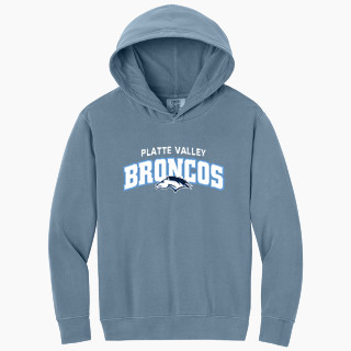 Comfort Colors Youth Lightweight Hooded Sweatshirt