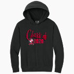 Community Christian Academy Ambassadors <span class="pdp-name-mascot">Community Christian Academy Ambassadors</span> Comfort Colors Youth Lightweight Hooded Sweatshirt Front Thumbnail