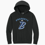 BARTLESVILLE HIGH SCHOOL BRUINS Comfort Colors Youth Lightweight Hooded Sweatshirt Front Thumbnail