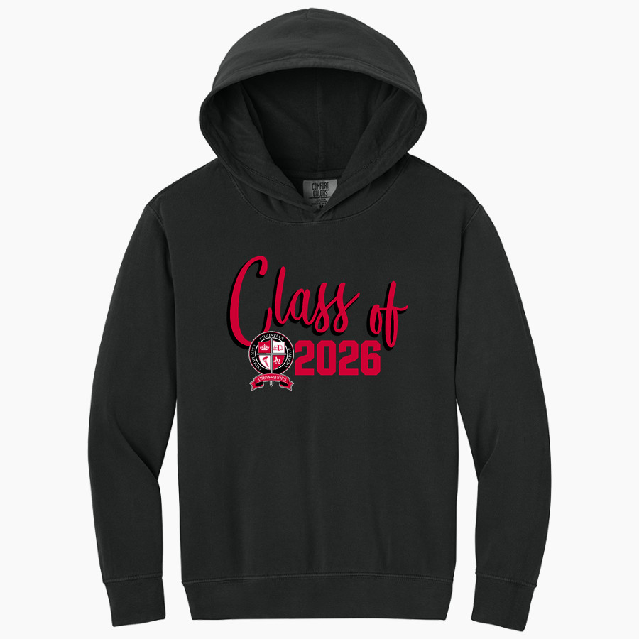 Community Christian Academy Ambassadors <span class="pdp-name-mascot">Community Christian Academy Ambassadors</span> Comfort Colors Youth Lightweight Hooded Sweatshirt
