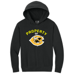 COOLIDGE HIGH SCHOOL YELLOWJACKETS <span class="pdp-name-mascot">COOLIDGE YELLOWJACKETS</span> Comfort Colors Youth Lightweight Hooded Sweatshirt Front Thumbnail