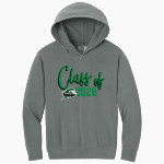 North Central Thunderbirds <span class="pdp-name-mascot">North Central Thunderbirds</span> Comfort Colors Youth Lightweight Hooded Sweatshirt Front Thumbnail