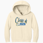 ROBERTO CLEMENTE HIGH SCHOOL WILDCATS <span class="pdp-name-mascot">ROBERTO CLEMENTE WILDCATS</span> Comfort Colors Youth Lightweight Hooded Sweatshirt Front Thumbnail