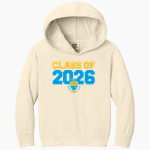 IDEA Academy Health Professions <span class="pdp-name-mascot">IDEA Academy Health Professions</span> Comfort Colors Youth Lightweight Hooded Sweatshirt Front Thumbnail