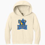 Devonshire Knights <span class="pdp-name-mascot">Devonshire Knights</span> Comfort Colors Youth Lightweight Hooded Sweatshirt Front Thumbnail