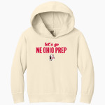 NE OHIO PREP Knights Comfort Colors Youth Lightweight Hooded Sweatshirt Front Thumbnail