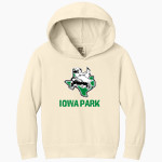 IOWA PARK HIGH SCHOOL HAWKS Comfort Colors Youth Lightweight Hooded Sweatshirt Front Thumbnail