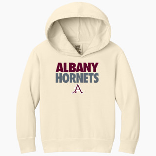 Comfort Colors Youth Lightweight Hooded Sweatshirt