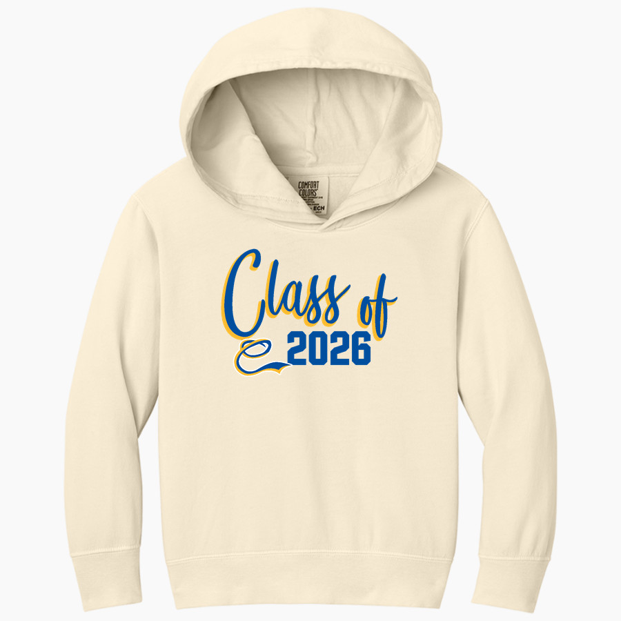 ROBERTO CLEMENTE HIGH SCHOOL WILDCATS <span class="pdp-name-mascot">ROBERTO CLEMENTE WILDCATS</span> Comfort Colors Youth Lightweight Hooded Sweatshirt