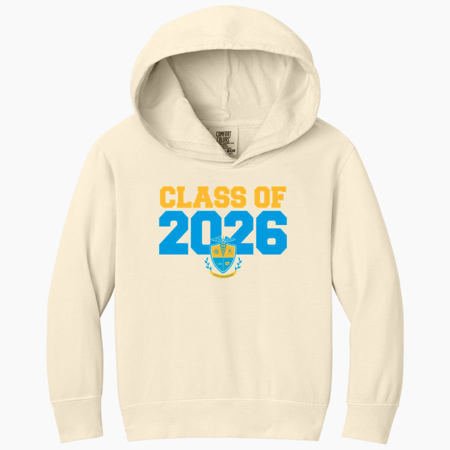 IDEA Academy Health Professions <span class="pdp-name-mascot">IDEA Academy Health Professions</span> Comfort Colors Youth Lightweight Hooded Sweatshirt