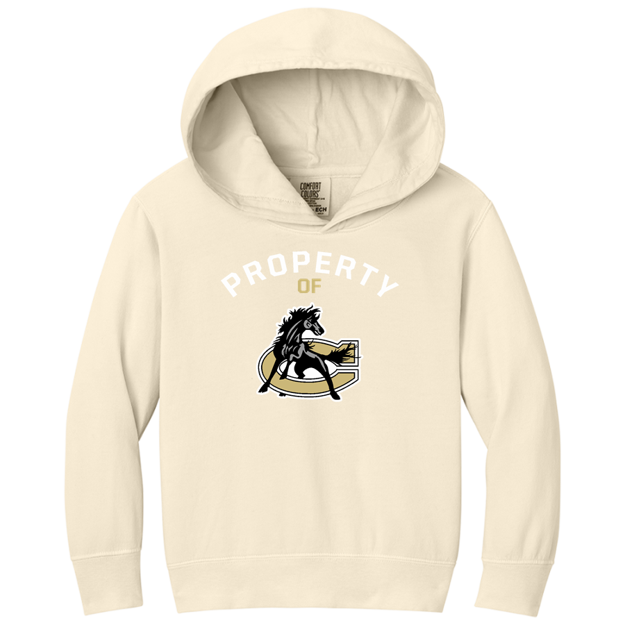 Clinton Dark Horses <span class="pdp-name-mascot">Clinton Dark Horses</span> Comfort Colors Youth Lightweight Hooded Sweatshirt