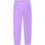 Trevecca University Trojans <span class="pdp-name-mascot">Trevecca University Trojans</span> Comfort Colors Adult Lightweight Sweatpant Back Thumbnail