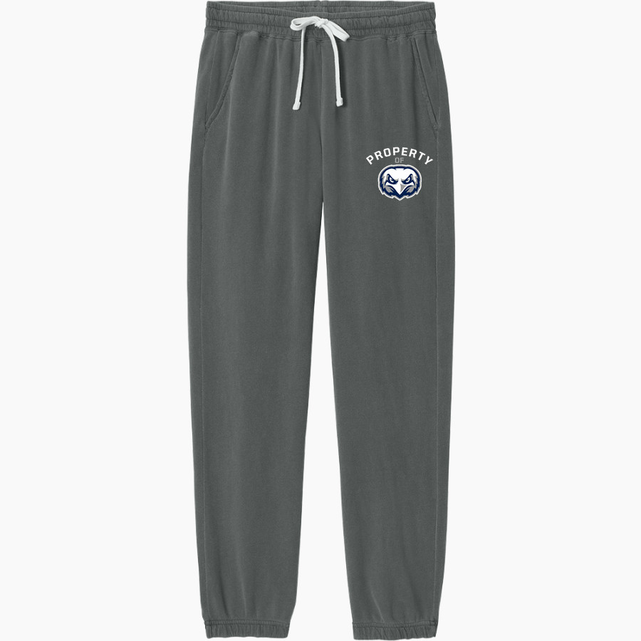 Legacy Eagles <span class="pdp-name-mascot">Legacy Charter Eagles</span> Comfort Colors Adult Lightweight Sweatpant