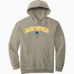 BELLWOOD-ANTIS HIGH SCHOOL BLUE DEVILS <span class="pdp-name-mascot">BELLWOOD - ANTIS BLUE DEVILS</span> Comfort Colors Adult Ring Spun Hooded Sweatshirt Front Thumbnail
