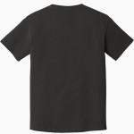 Northwest Nazarene Nighthawks <span class="pdp-name-mascot">Northwest Nazarene University Nighthawks</span> Comfort Colors Men's Heavyweight Ring Spun T-Shirt Back Thumbnail