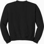 BERTHOUD HIGH SCHOOL SPARTANS Gildan Youth Heavy Blend Crewneck Sweatshirt Back Thumbnail