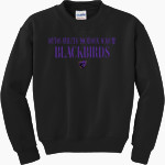 Dayton Athletic Vocational Academy Blackbirds <span class="pdp-name-mascot">Dayton Athletic Vocational Academy Blackbirds</span> Gildan Youth Heavy Blend Crewneck Sweatshirt Front Thumbnail