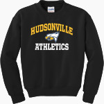 HUDSONVILLE HIGH SCHOOL EAGLES <span class="pdp-name-mascot">HUDSONVILLE EAGLES</span> Gildan Youth Heavy Blend Crewneck Sweatshirt Front Thumbnail