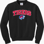 HARMONY SCIENCE ACADEMY - PFLUGERVILLE TIGERS <span class="pdp-name-mascot">HARMONY SCIENCE - PFLUGERVILLE TIGERS</span> Gildan Youth Heavy Blend Crewneck Sweatshirt Front Thumbnail