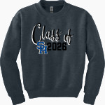 Spring Hill Panthers <span class="pdp-name-mascot">Spring Hill Panthers</span> Gildan Youth Heavy Blend Crewneck Sweatshirt Front Thumbnail