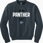JERSEY COMMUNITY HIGH SCHOOL PANTHERS Gildan Youth Heavy Blend Crewneck Sweatshirt Front Thumbnail