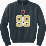 BC DENVER BC DENVER Gildan Youth Heavy Blend Crewneck Sweatshirt Front Thumbnail