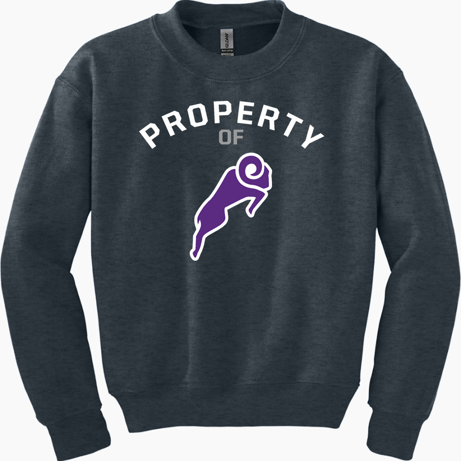 Cornell Rams <span class="pdp-name-mascot">Cornell Rams</span> Gildan Youth Heavy Blend Crewneck Sweatshirt