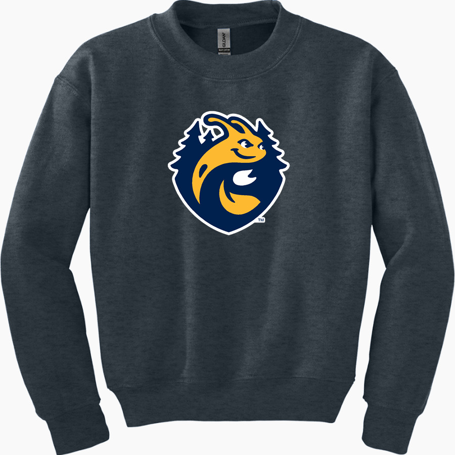 UC Santa Cruz Banana Slugs <span class="pdp-name-mascot">UC Santa Cruz Banana Slugs</span> Gildan Youth Heavy Blend Crewneck Sweatshirt