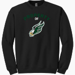 Enfield High School Eagles <span class="pdp-name-mascot">Enfield High Eagles</span> Gildan Adult Heavy Blend Crewneck Sweatshirt Front Thumbnail
