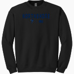 Northshore Titans Online Store <span class="pdp-name-mascot">Northshore Titans</span> Gildan Adult Heavy Blend Crewneck Sweatshirt Front Thumbnail