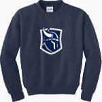 Berry Vikings Gildan Youth Heavy Blend Crewneck Sweatshirt Front Thumbnail