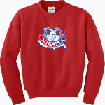 NIAAA - Gildan Youth Heavy Blend Crewneck Sweatshirt Front Thumbnail