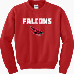 Dunedin Falcons <span class="pdp-name-mascot">Dunedin High School Falcons</span> Gildan Youth Heavy Blend Crewneck Sweatshirt Front Thumbnail