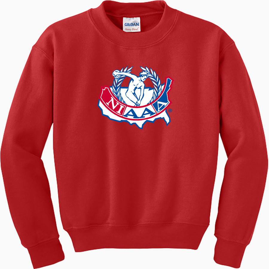 NIAAA - Gildan Youth Heavy Blend Crewneck Sweatshirt