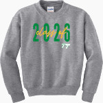 Triplett Tech <span class="pdp-name-mascot">Triplett Business and Technical Institute</span> Gildan Youth Heavy Blend Crewneck Sweatshirt Front Thumbnail