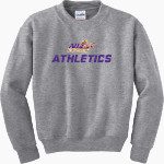 Alfred University Saxons Gildan Youth Heavy Blend Crewneck Sweatshirt Front Thumbnail